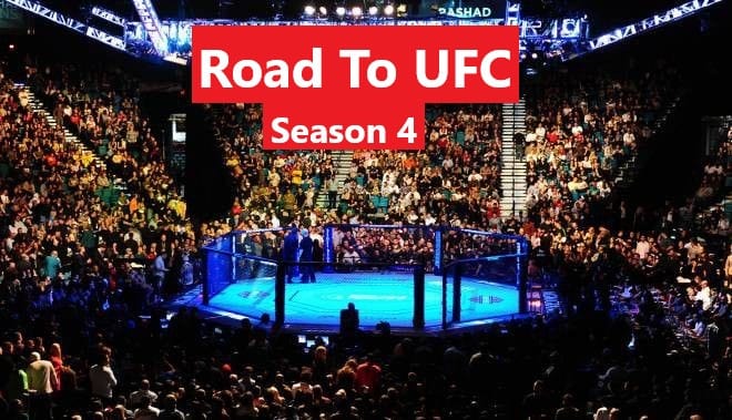Mridul-Saikia-Road-To-UFC-Season-4